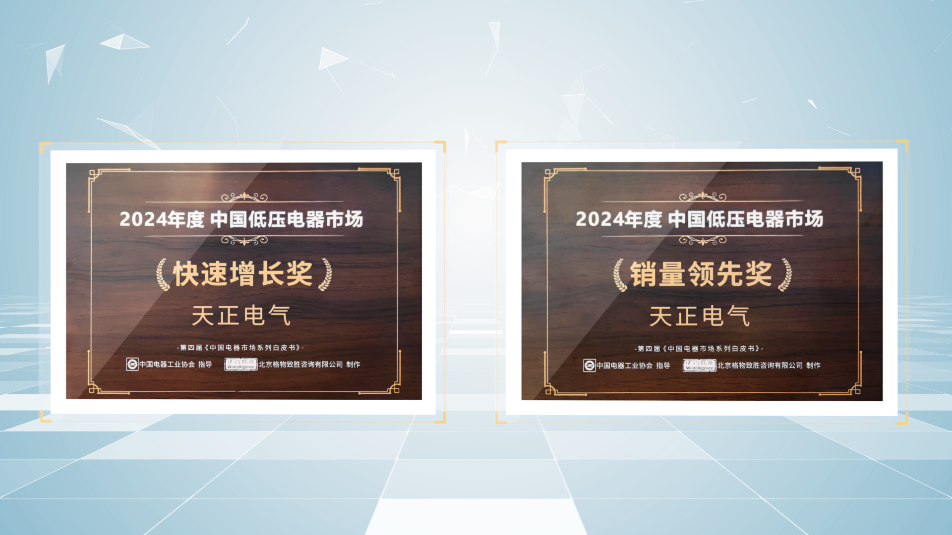 销量领先、快速增长丨pg电游站荣膺2项行业年度大奖